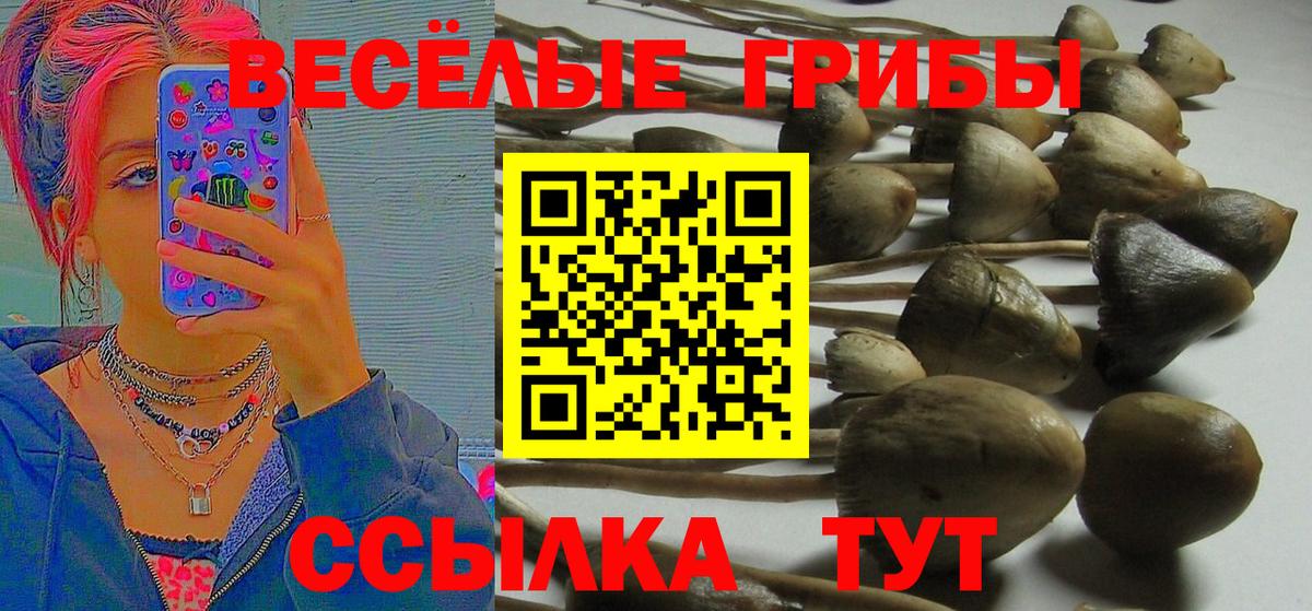 Галлюциногенные грибы Magic Shrooms  Вход с VPN  Псилоцибиновые грибы мухоморы  цена наркотик  Нальчик 