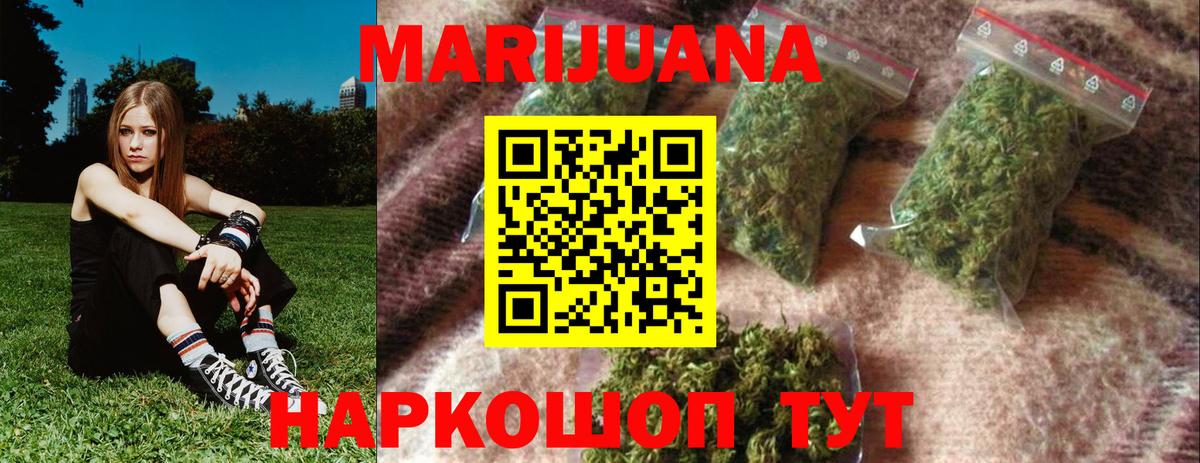Каннабис конопля Нальчик